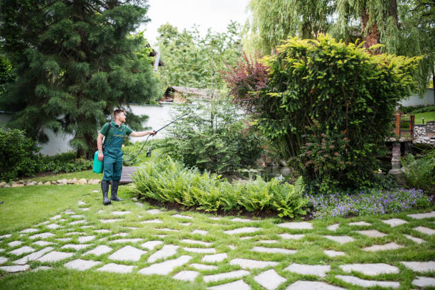 Best Commercial Pest Control Services  in Wynne, AR