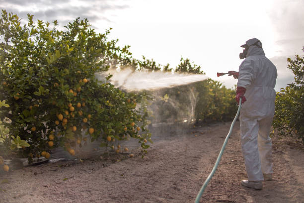 Best Residential Pest Control  in Wynne, AR