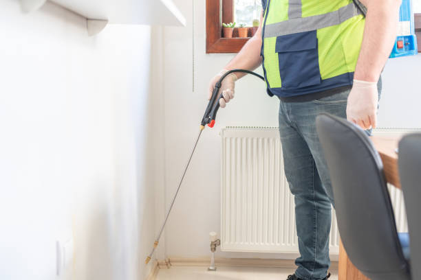 Best Flea Control Services  in Wynne, AR